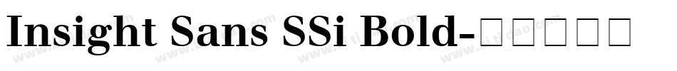 Insight Sans SSi Bold字体转换